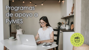 programas de apoyo a pymes
