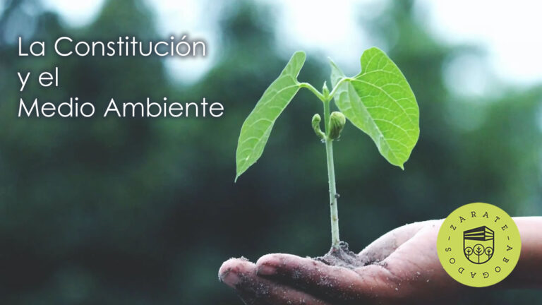 Medio ambiente en la Constitución mexicana