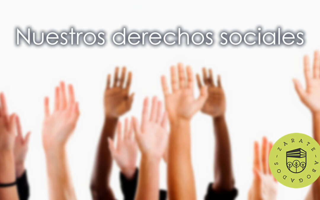 Los derechos sociales de nuestra constitución