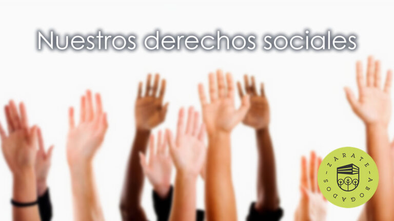 derechos sociales en la constitución