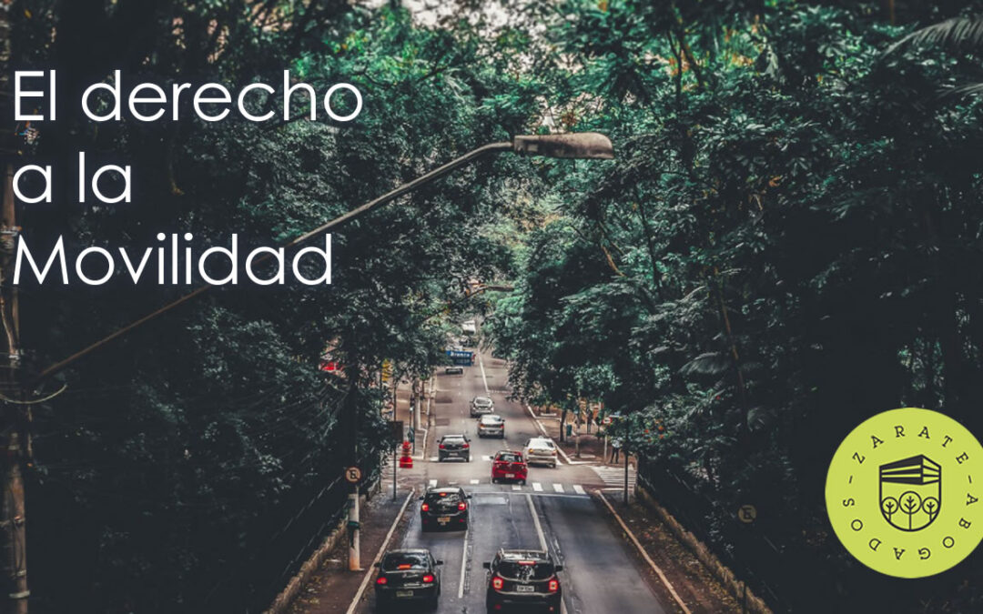 El Reconocimiento de nuestro derecho a la movilidad
