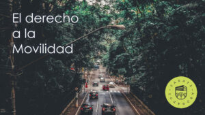 El derecho a la movilidad en la constitución