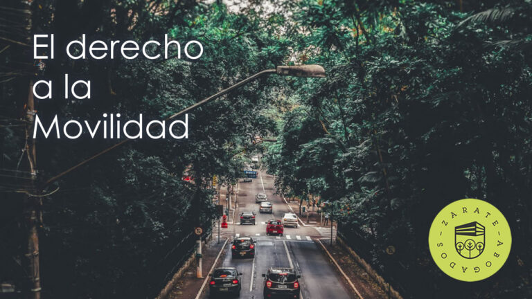 El derecho a la movilidad en la constitución