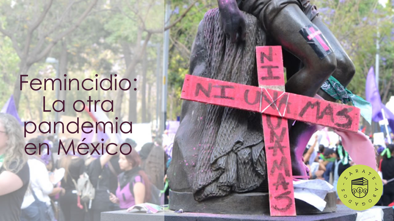 feminicidios pandemia de feminicidios