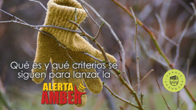 Qué es y para qué sirve la alerta amber