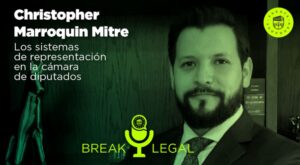 Los sistemas de representación en la cámara de diputados