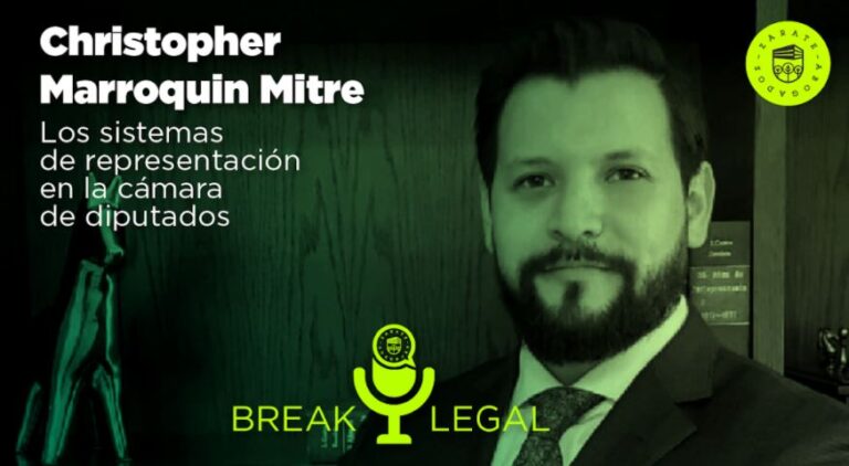 Los sistemas de representación en la cámara de diputados