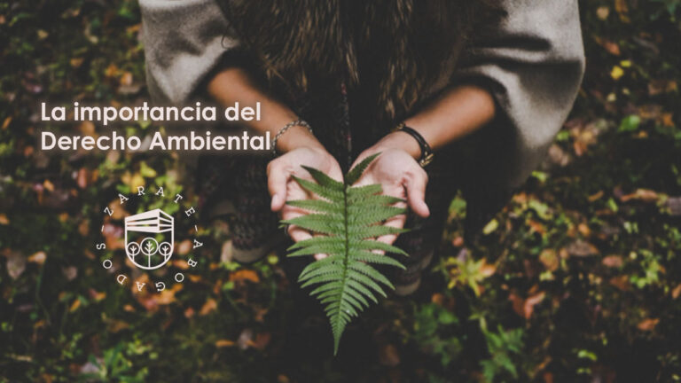 La importancia del Derecho Ambiental