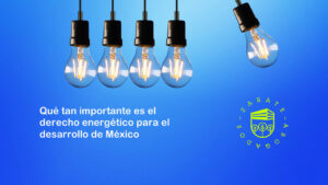 La tauromaquia divide a la sociedad no sólo de México, sino del mundo y el debate sobre terminar con la "fiesta brava" continúa, ¿pero qué dicen las leyes?