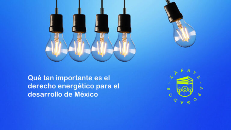 La tauromaquia divide a la sociedad no sólo de México, sino del mundo y el debate sobre terminar con la "fiesta brava" continúa, ¿pero qué dicen las leyes?