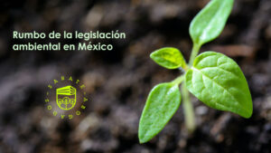 Rumbo de la legislación ambiental en México