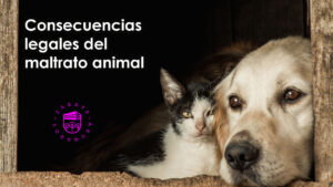 Consecuencias legales del maltrato animal