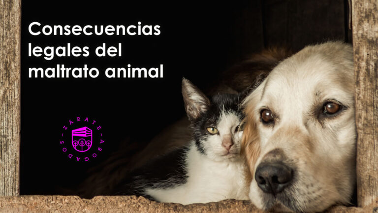 Consecuencias legales del maltrato animal