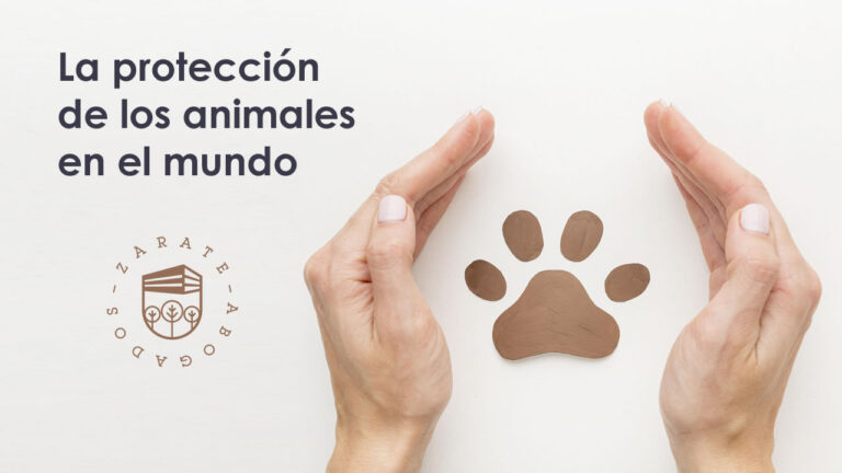 La protección de los animales en el mundo