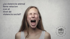 ¿La violencia animal tiene relacion con el nivel de violencia social?