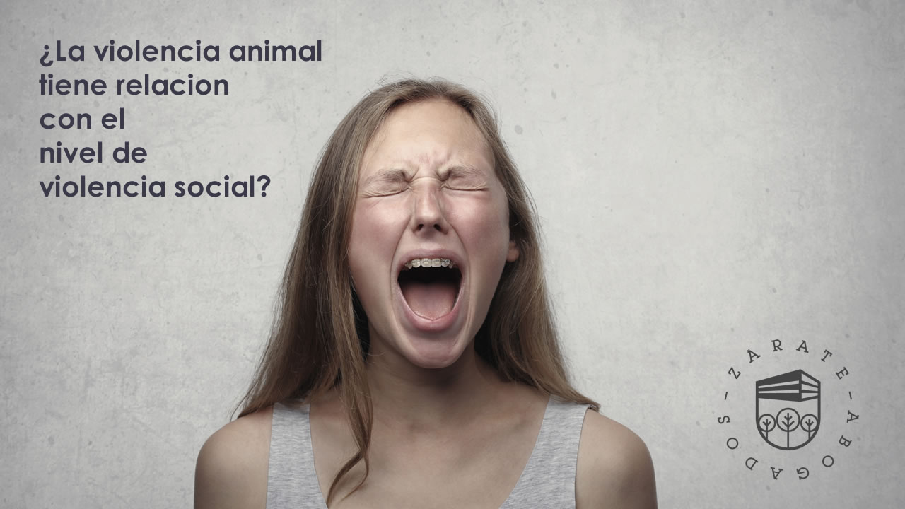 ¿La violencia animal tiene relacion con el nivel de violencia social?
