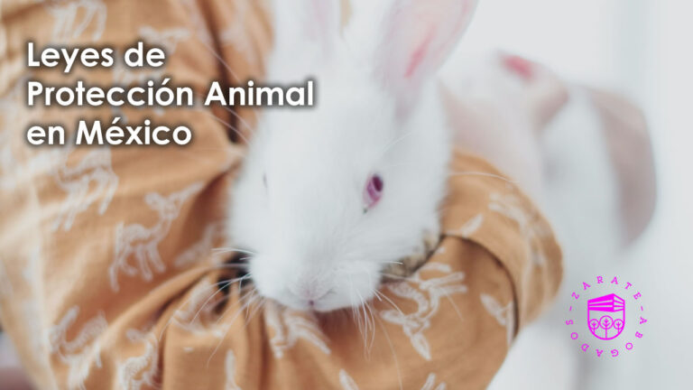 Leyes de Protección Animal en México