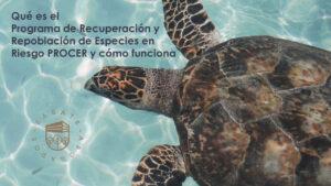 Qué es el Programa de Recuperación y Repoblación de Especies en Riesgo PROCER y cómo funciona
