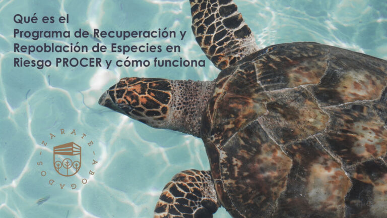 Qué es el Programa de Recuperación y Repoblación de Especies en Riesgo PROCER y cómo funciona