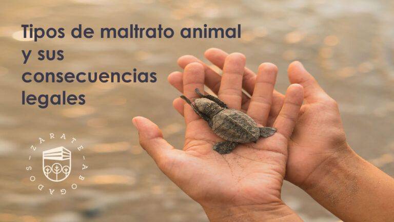 Tipos de maltrato animal y sus consecuencias legales