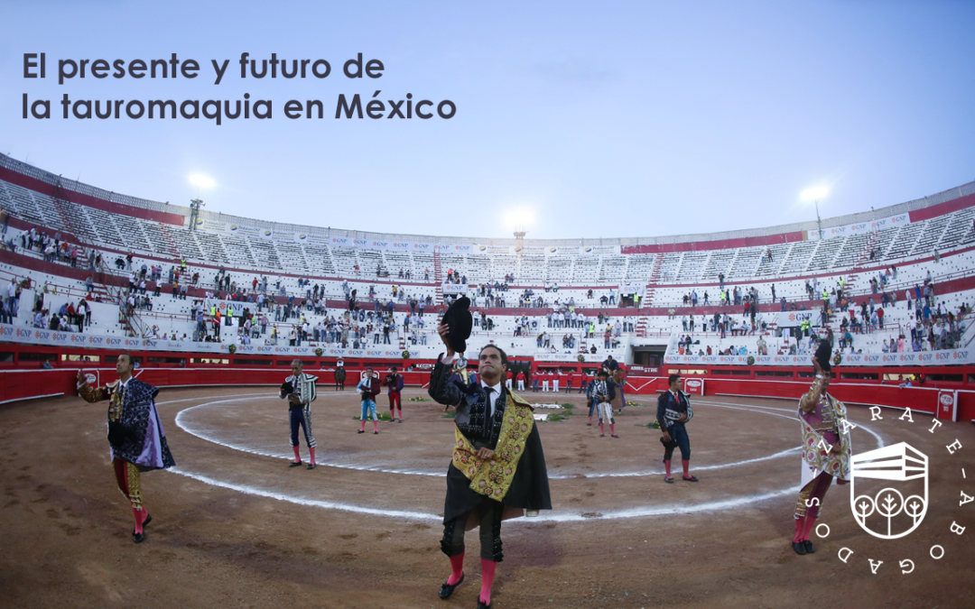 El presente y futuro de la tauromaquia en México