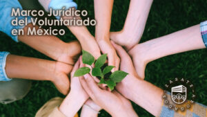 marco jurídico del voluntariado en méxico