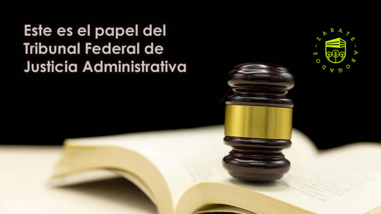Este es el papel del Tribunal Federal de Justicia Administrativa