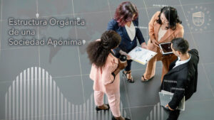 Estructura Orgánica de una Sociedad Anónima