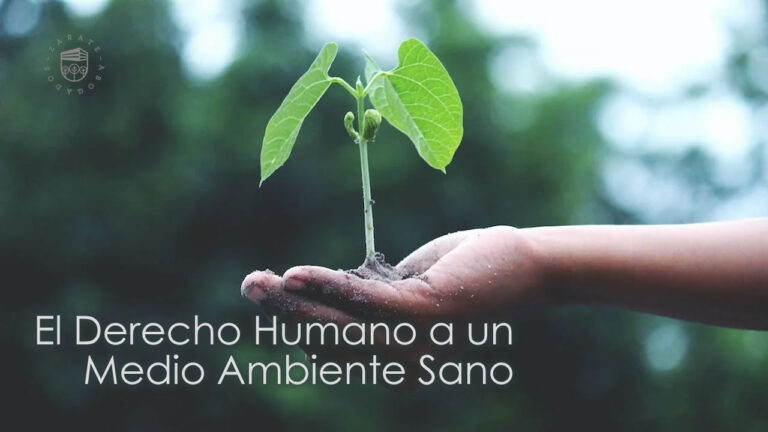 El Derecho Humano a un Medio Ambiente Sano - Zarate Abogados