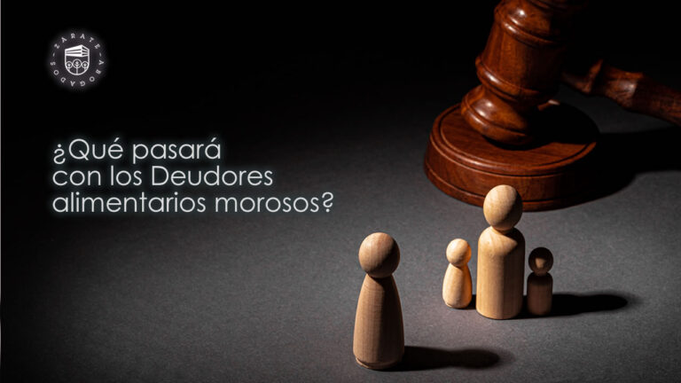 Registro Nacional de Deudores alimentarios
