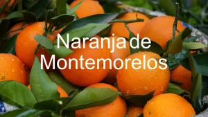 Naranja de Montemorelos