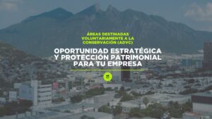 Áreas Destinadas Voluntariamente a la Conservación (ADVC): Oportunidad Estratégica y Protección Patrimonial para tu Empresa