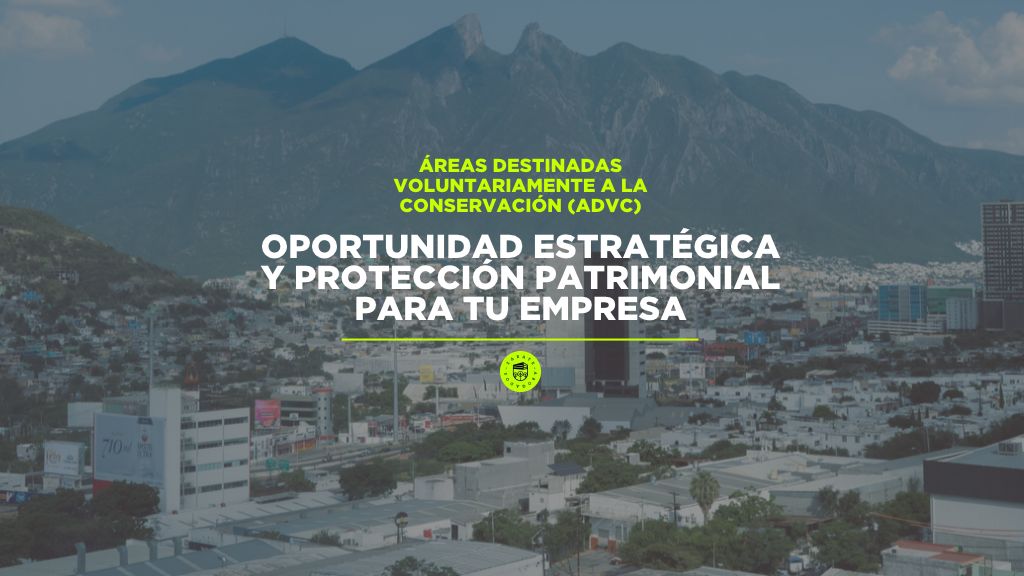 Áreas Destinadas Voluntariamente a la Conservación (ADVC): Oportunidad Estratégica y Protección Patrimonial para tu Empresa